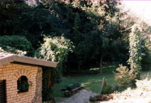 Lothar Vollmar - Falknerei - Park